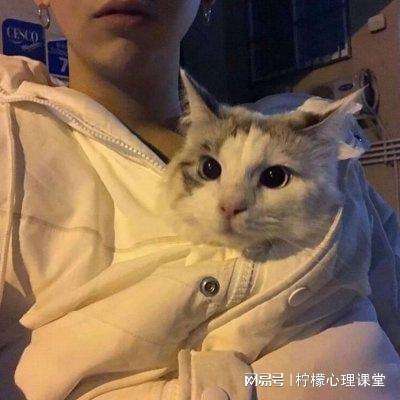 山海降鲲篇破解版下载