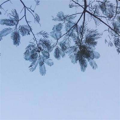 飞车小超人辅助下载